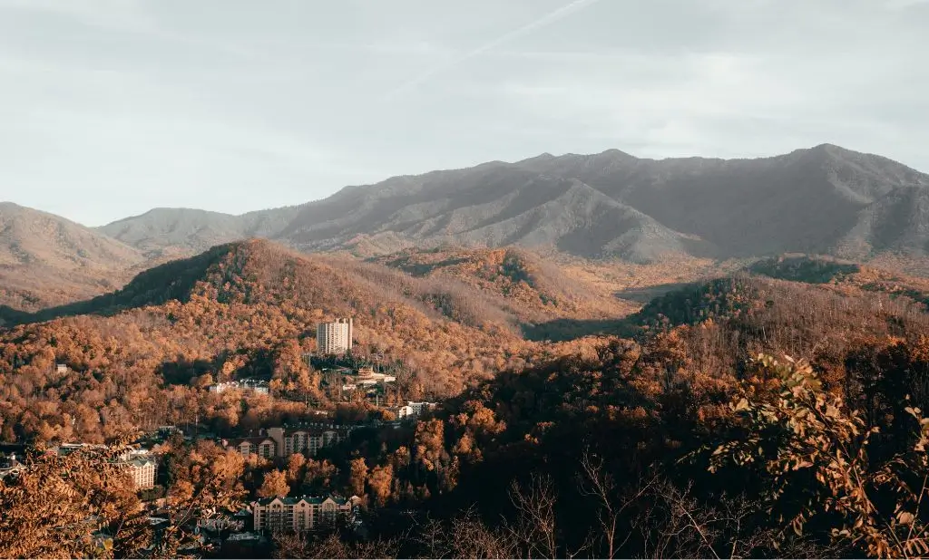 The Ultimate Guide to Pet-Friendly Hotels in Gatlinburg, TN: 2025