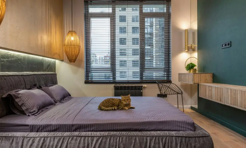 The Ultimate Guide to Pet-Friendly Hotels in Savannah, GA: 2025