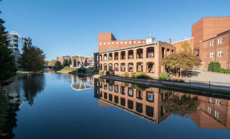 Pet-Friendly Hotels in Charleston SC