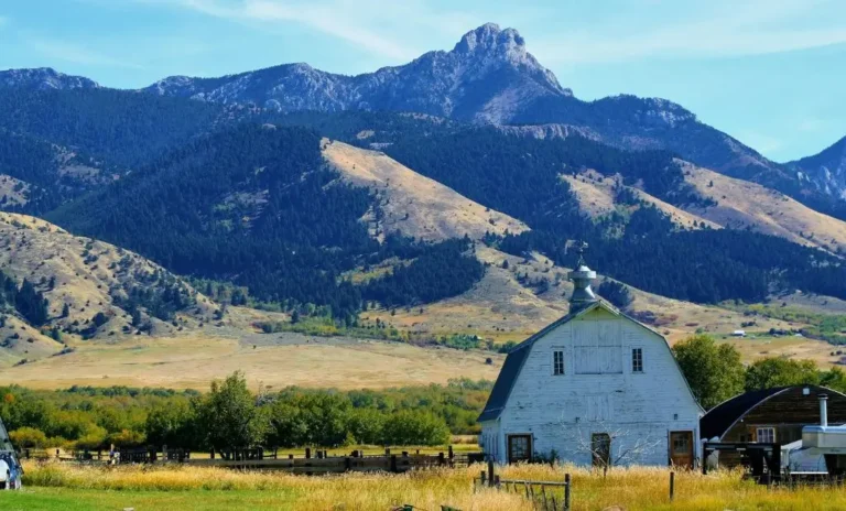 Pet Friendly Hotels in Bozeman MT