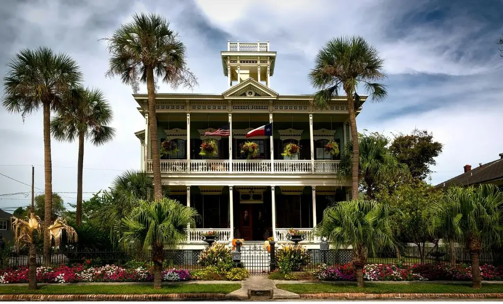 Pet-Friendly Hotels in Galveston