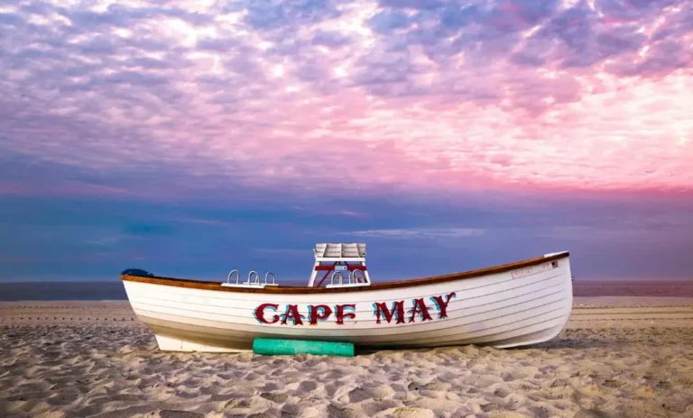 pet friendly hotels in cape may nj