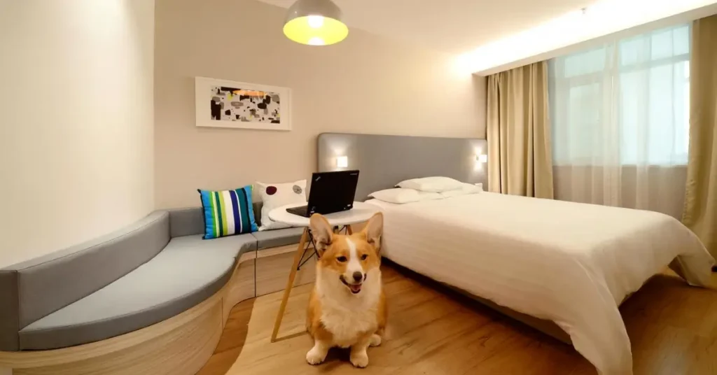 8 Best Pet Friendly Hotels Lincoln NE for Affordable Stays