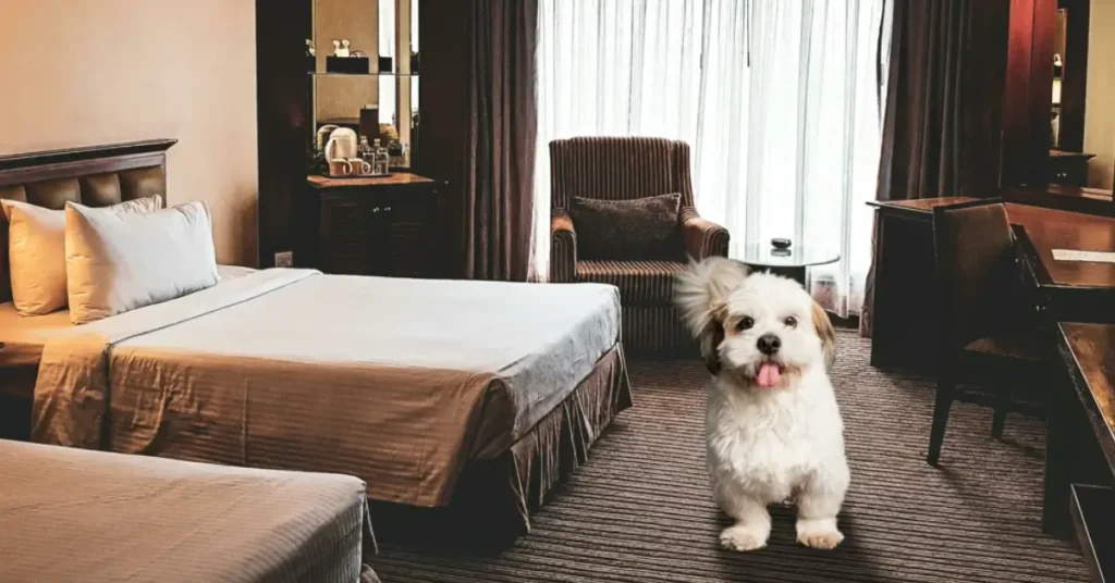 9 Best Pet Friendly Hotels Newport Oregon You’ll Love