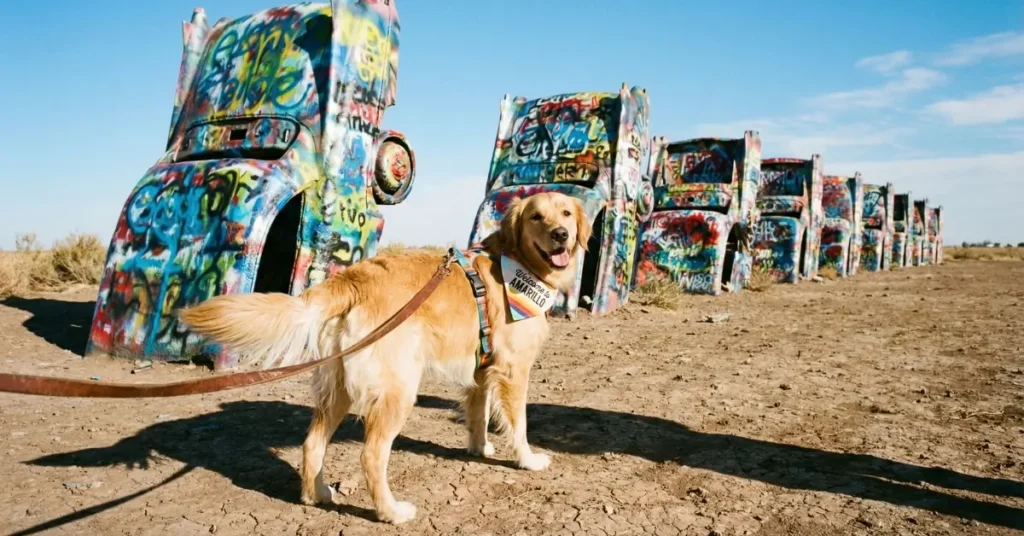 Pet Friendly Hotels Amarillo TX